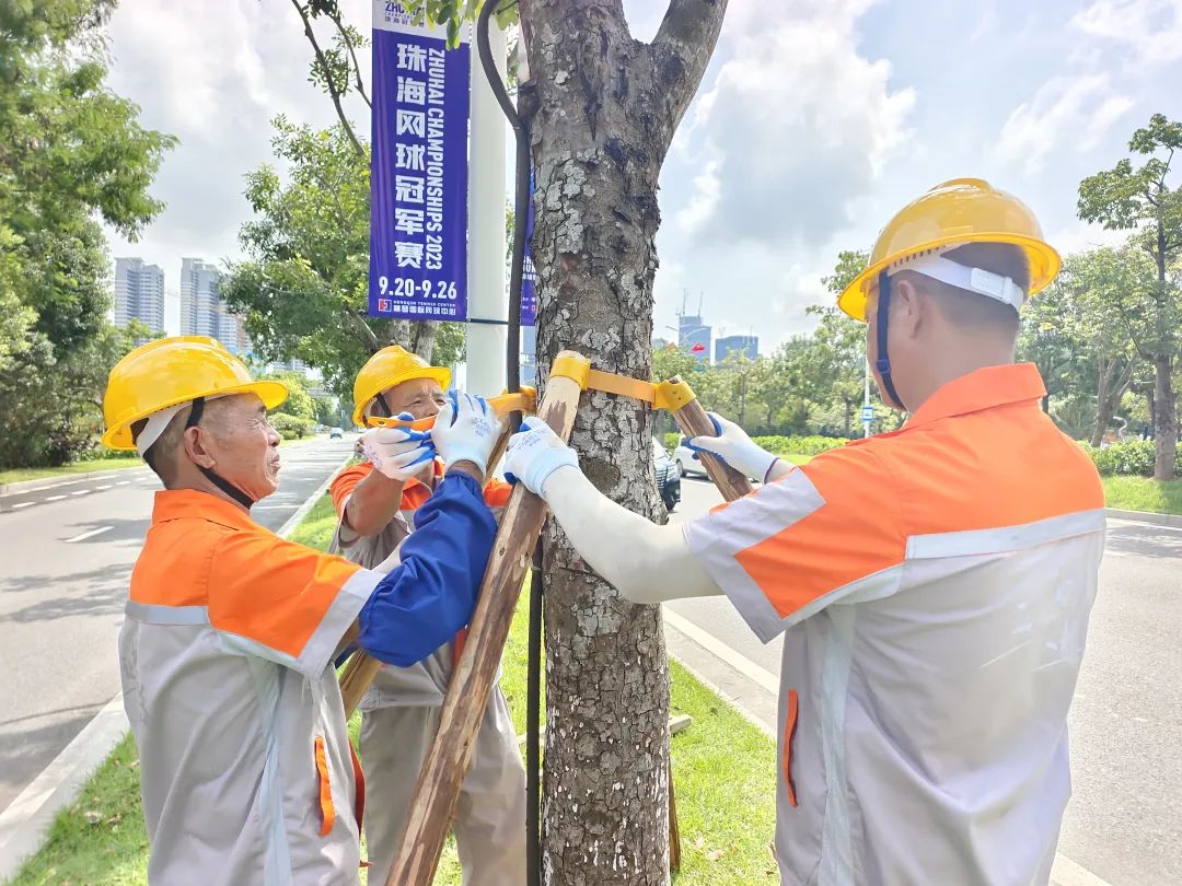 1695368085200210.jpg 9.jpg