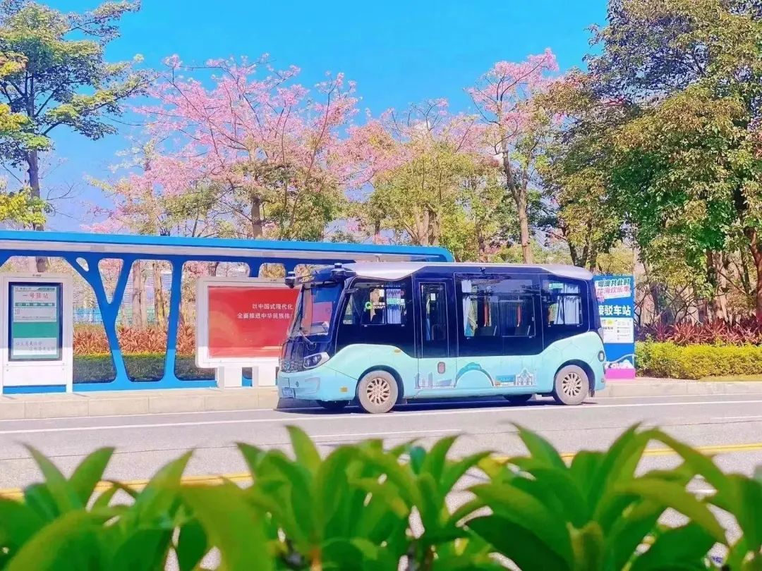 1700556062315181.jpg 4.jpg