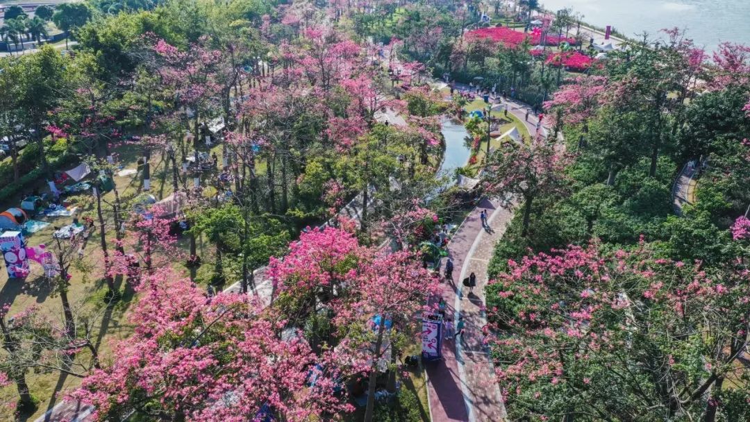 1702363644724899.jpg 2.jpg