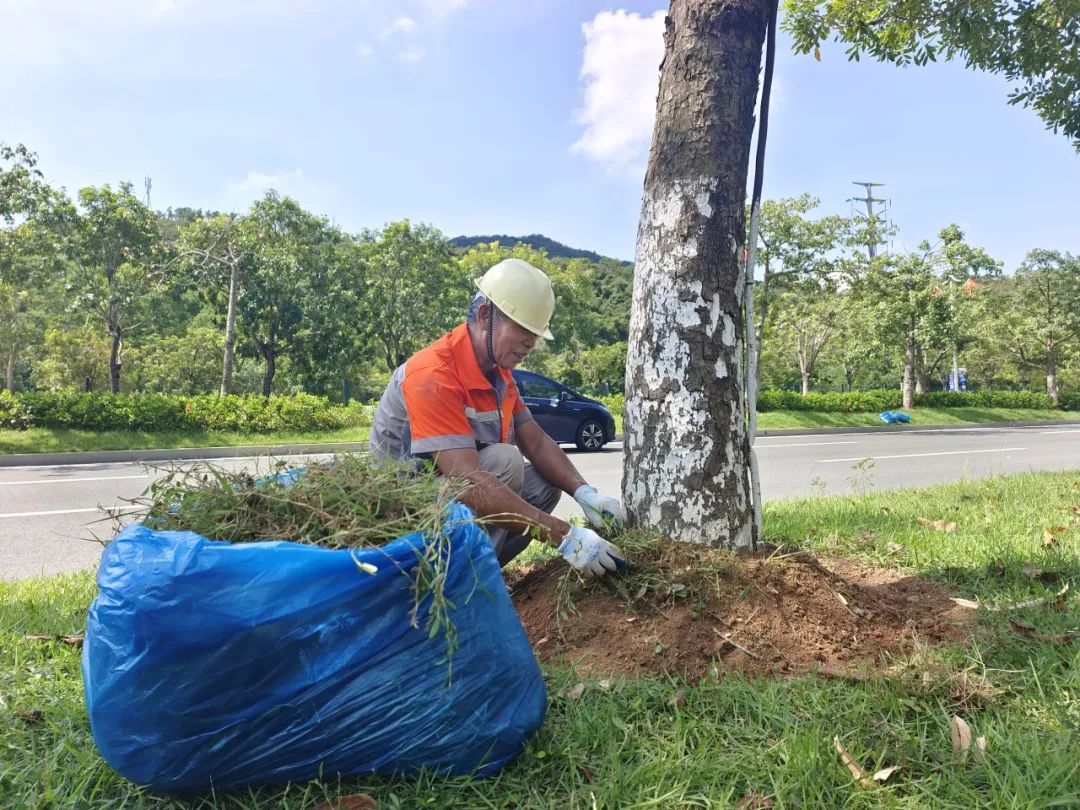 1704179259199882.jpg 6.jpg