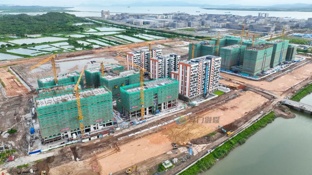 1722219757971629.jpg 1.jpg