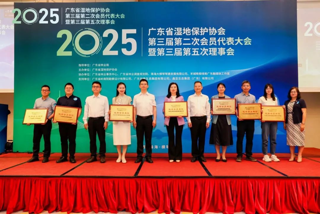 1747194155329550.jpg 5.jpg