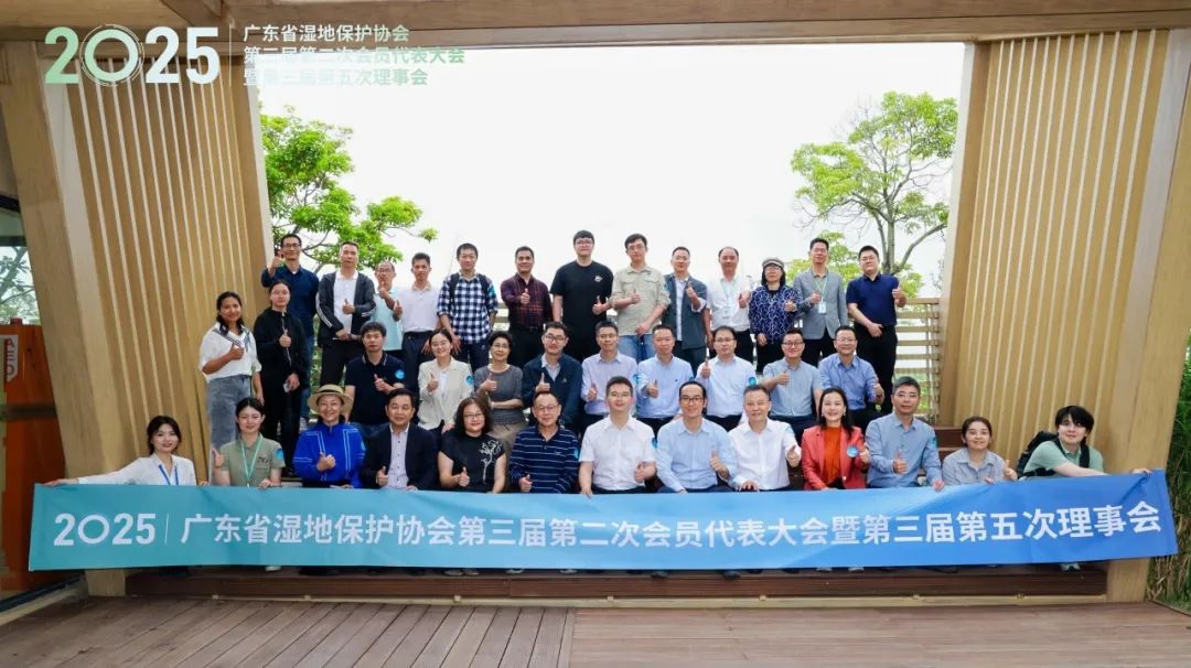 1747194211657044.jpg 10.jpg