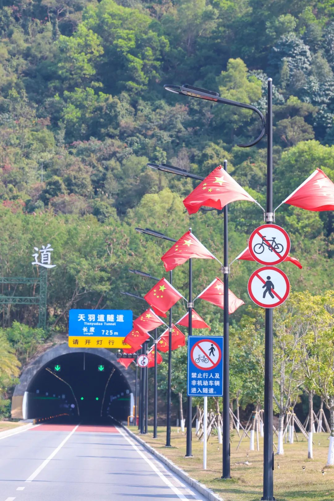 1747296514778570.jpg 1.jpg